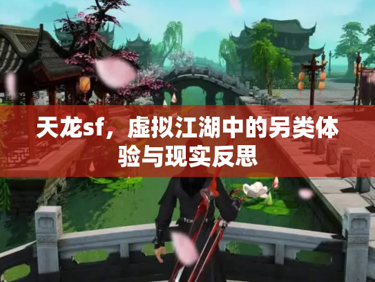 天龙sf，虚拟江湖中的另类体验与现实反思