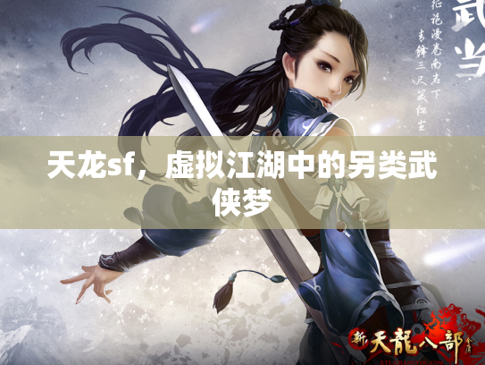 天龙sf，虚拟江湖中的另类武侠梦