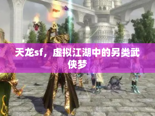 天龙sf，虚拟江湖中的另类武侠梦