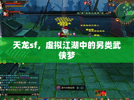 天龙sf，虚拟江湖中的另类武侠梦