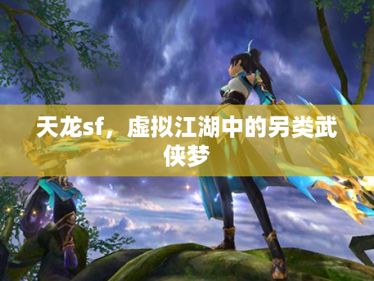 天龙sf，虚拟江湖中的另类武侠梦