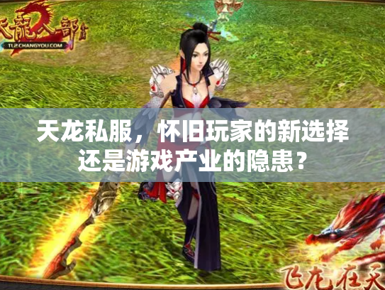 天龙私服，怀旧玩家的新选择还是游戏产业的隐患？