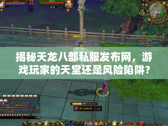 揭秘天龙八部私服发布网，游戏玩家的天堂还是风险陷阱？