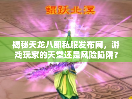 揭秘天龙八部私服发布网，游戏玩家的天堂还是风险陷阱？