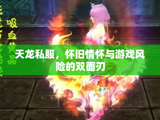 天龙私服，怀旧情怀与游戏风险的双面刃