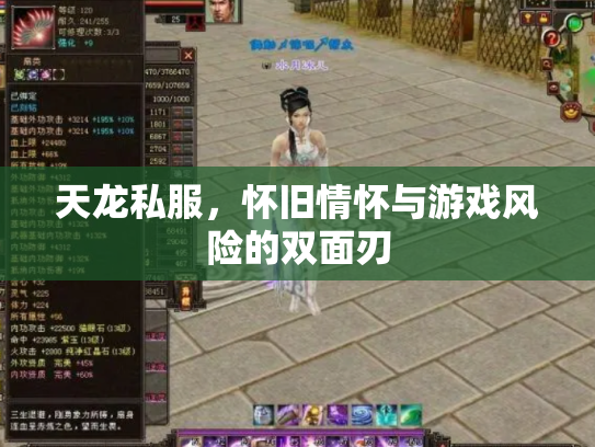 天龙私服，怀旧情怀与游戏风险的双面刃