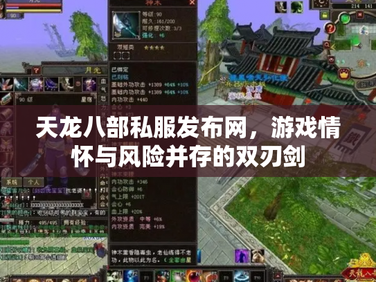 天龙八部私服发布网，游戏情怀与风险并存的双刃剑