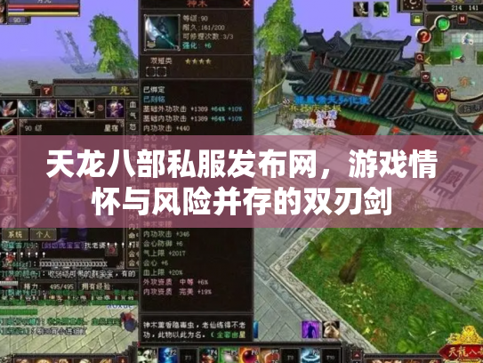 天龙八部私服发布网，游戏情怀与风险并存的双刃剑