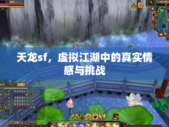天龙sf，虚拟江湖中的真实情感与挑战