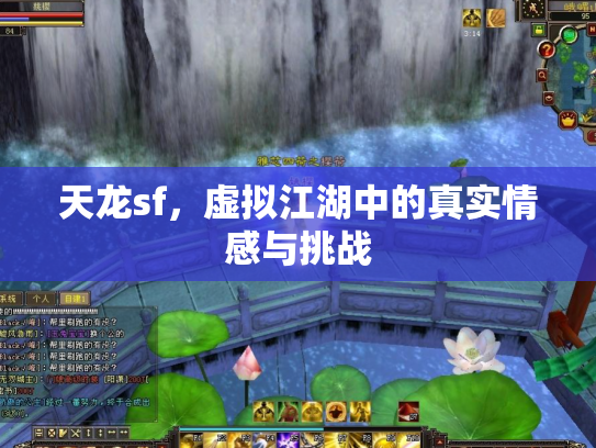 天龙sf，虚拟江湖中的真实情感与挑战
