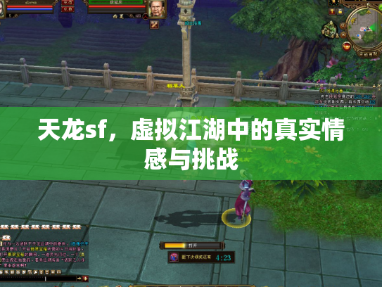 天龙sf，虚拟江湖中的真实情感与挑战