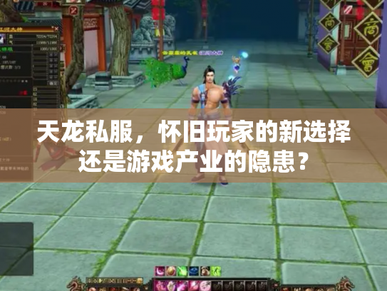 天龙私服，怀旧玩家的新选择还是游戏产业的隐患？