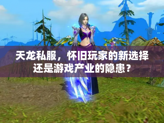 天龙私服，怀旧玩家的新选择还是游戏产业的隐患？