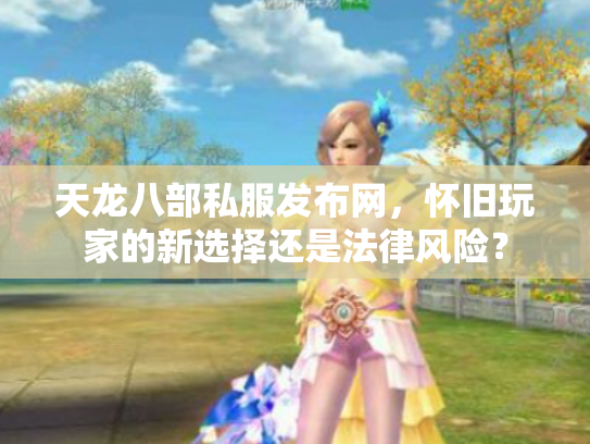 天龙八部私服发布网，怀旧玩家的新选择还是法律风险？