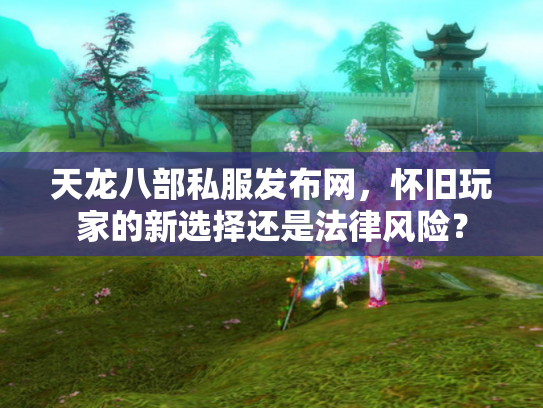 天龙八部私服发布网，怀旧玩家的新选择还是法律风险？