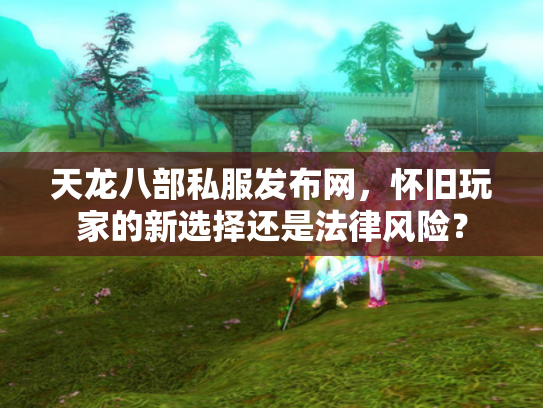 天龙八部私服发布网，怀旧玩家的新选择还是法律风险？