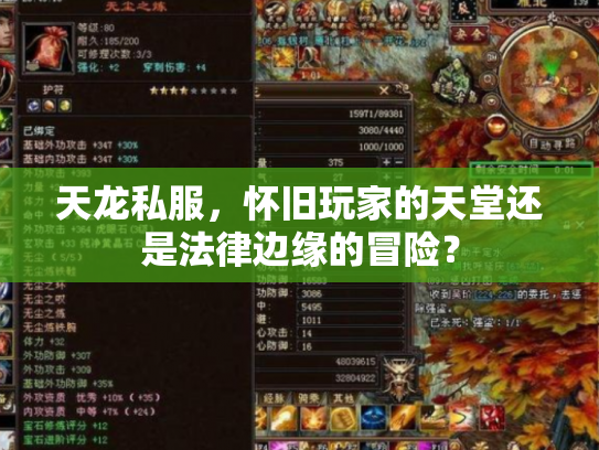 天龙私服，怀旧玩家的天堂还是法律边缘的冒险？