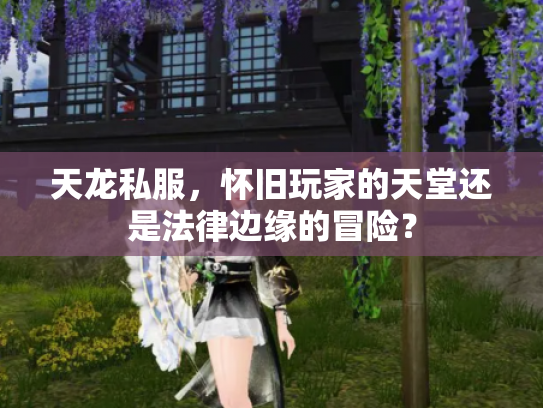 天龙私服，怀旧玩家的天堂还是法律边缘的冒险？