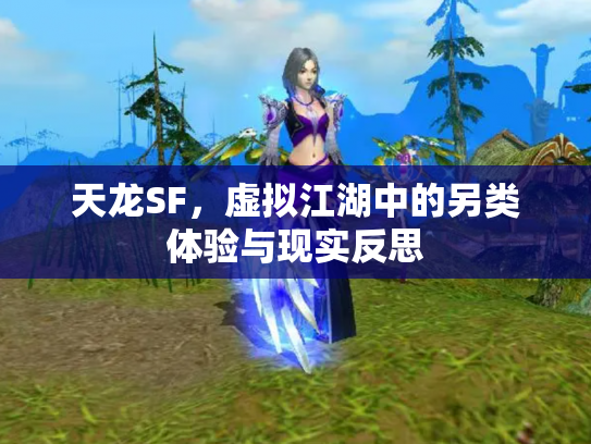 天龙SF，虚拟江湖中的另类体验与现实反思