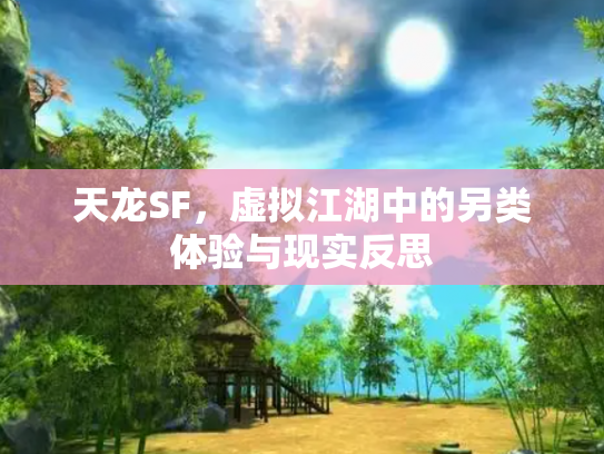天龙SF，虚拟江湖中的另类体验与现实反思