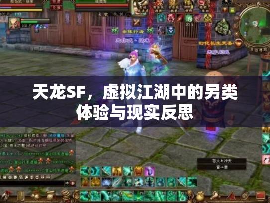 天龙SF，虚拟江湖中的另类体验与现实反思