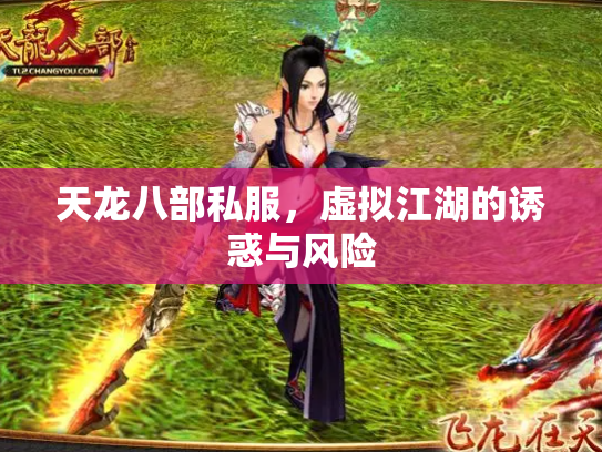 天龙八部私服，虚拟江湖的诱惑与风险