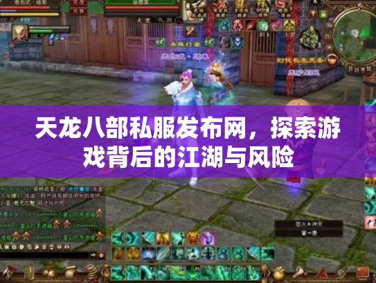 天龙八部私服发布网，探索游戏背后的江湖与风险
