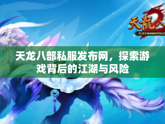 天龙八部私服发布网，探索游戏背后的江湖与风险