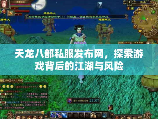 天龙八部私服发布网，探索游戏背后的江湖与风险
