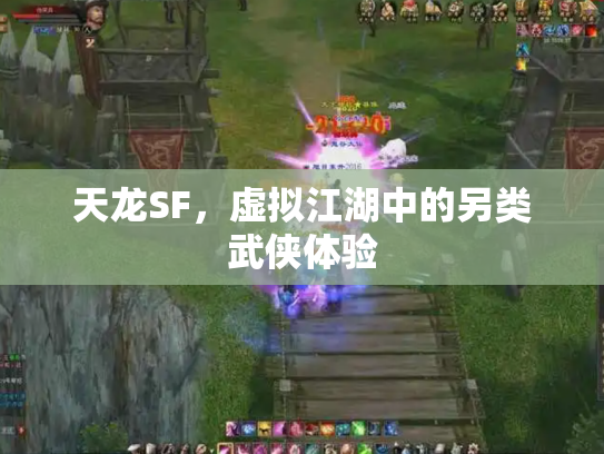 天龙SF，虚拟江湖中的另类武侠体验