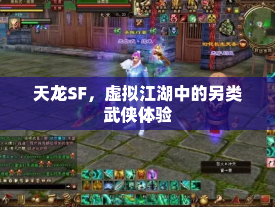 天龙SF，虚拟江湖中的另类武侠体验