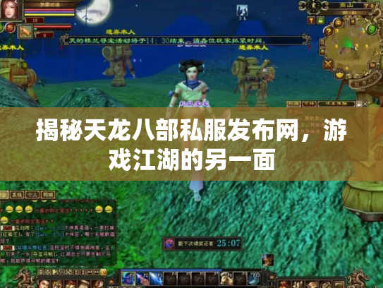 揭秘天龙八部私服发布网，游戏江湖的另一面