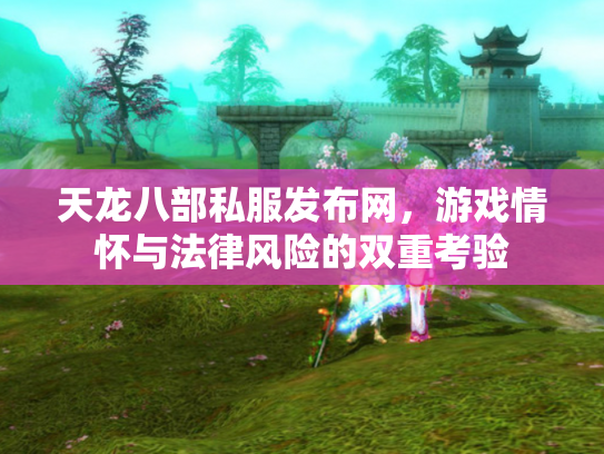 天龙八部私服发布网，游戏情怀与法律风险的双重考验