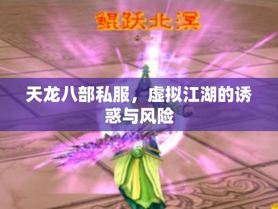 天龙八部私服，虚拟江湖的诱惑与风险