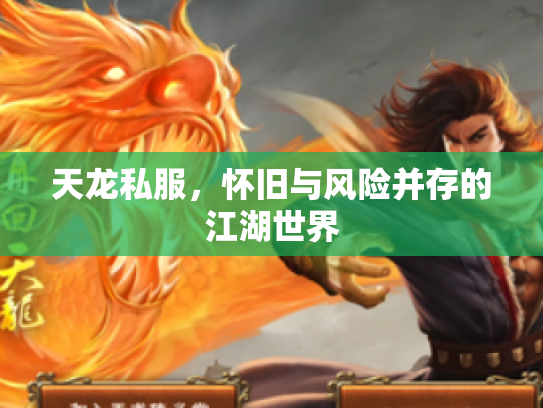 天龙私服，怀旧与风险并存的江湖世界