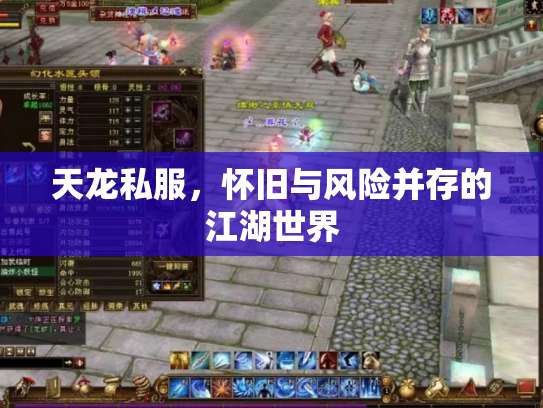 天龙私服，怀旧与风险并存的江湖世界