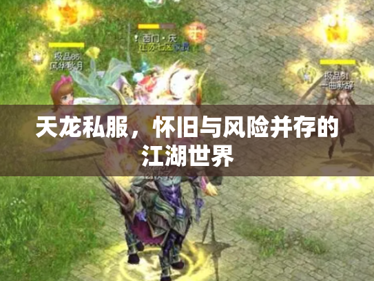 天龙私服，怀旧与风险并存的江湖世界