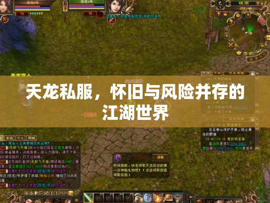 天龙私服，怀旧与风险并存的江湖世界