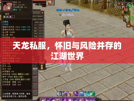 天龙私服，怀旧与风险并存的江湖世界
