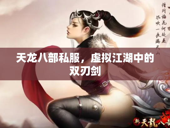天龙八部私服，虚拟江湖中的双刃剑