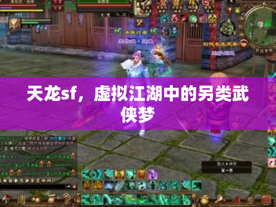 天龙sf，虚拟江湖中的另类武侠梦