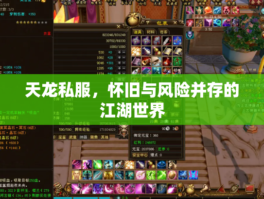 天龙私服，怀旧与风险并存的江湖世界