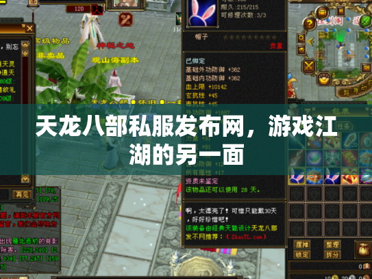 天龙八部私服发布网，游戏江湖的另一面