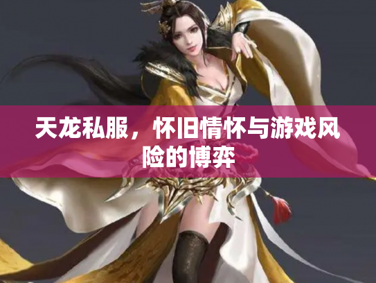天龙私服，怀旧情怀与游戏风险的博弈