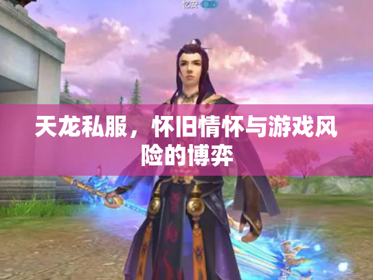 天龙私服，怀旧情怀与游戏风险的博弈
