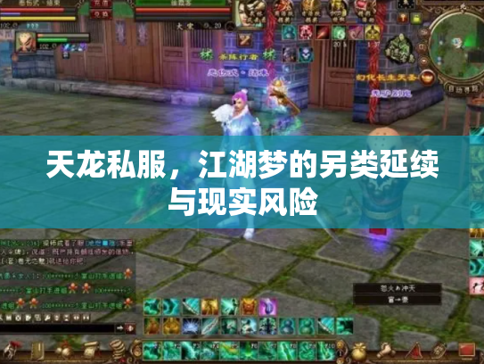 天龙私服，江湖梦的另类延续与现实风险