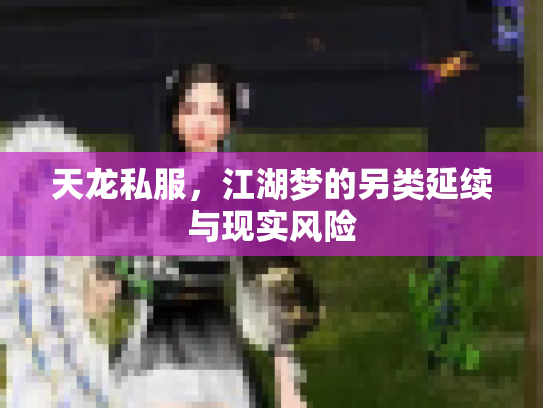 天龙私服，江湖梦的另类延续与现实风险