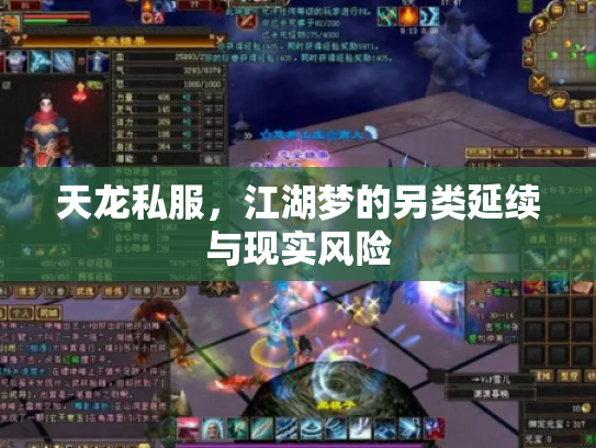 天龙私服，江湖梦的另类延续与现实风险