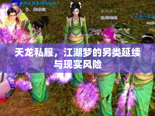 天龙私服，江湖梦的另类延续与现实风险
