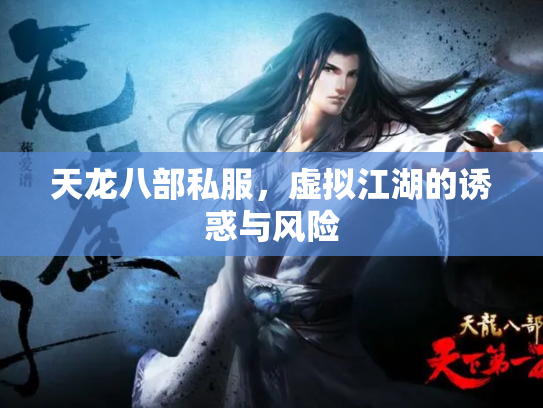 天龙八部私服，虚拟江湖的诱惑与风险
